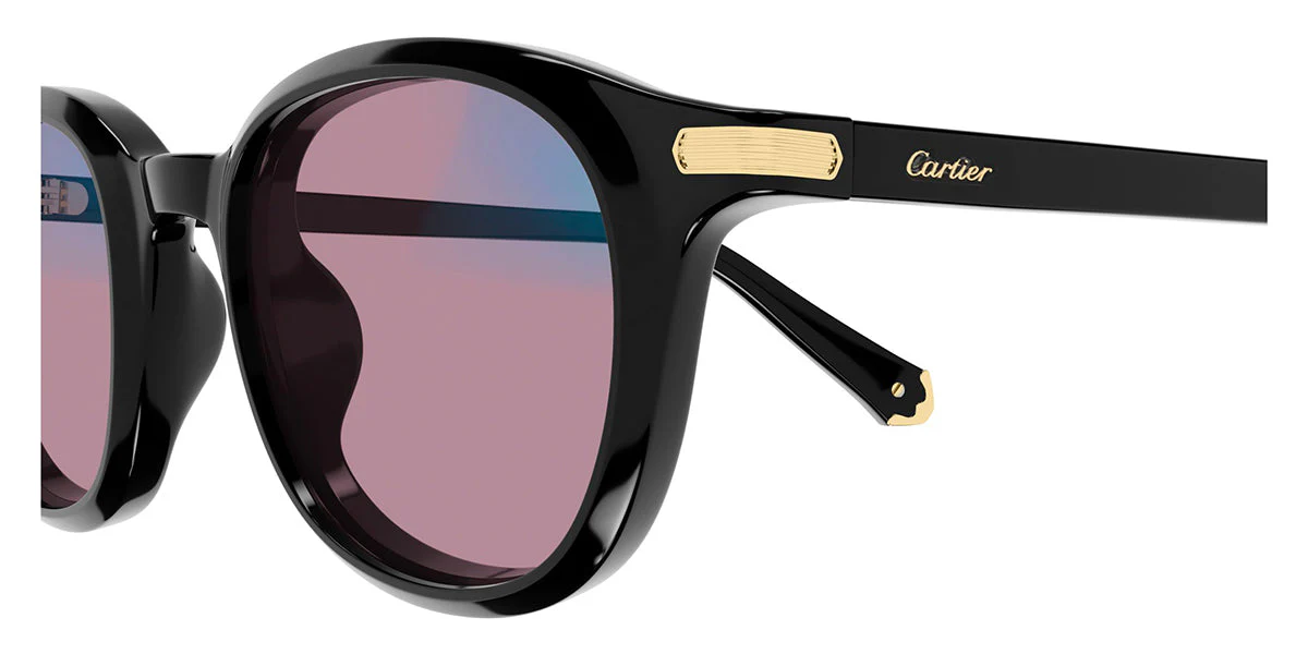 Cartier CT0584S - Image 15