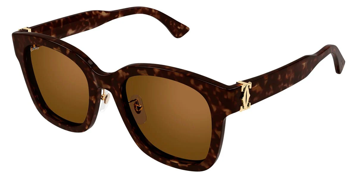 Cartier CT0589SA - Image 5