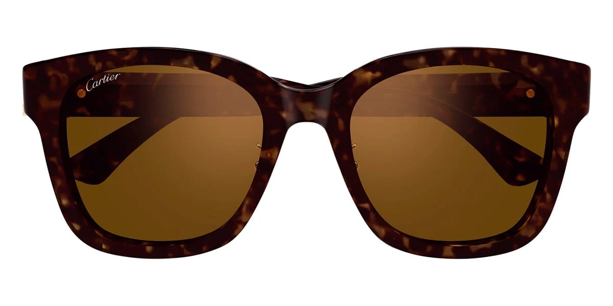Cartier CT0589SA - Image 6