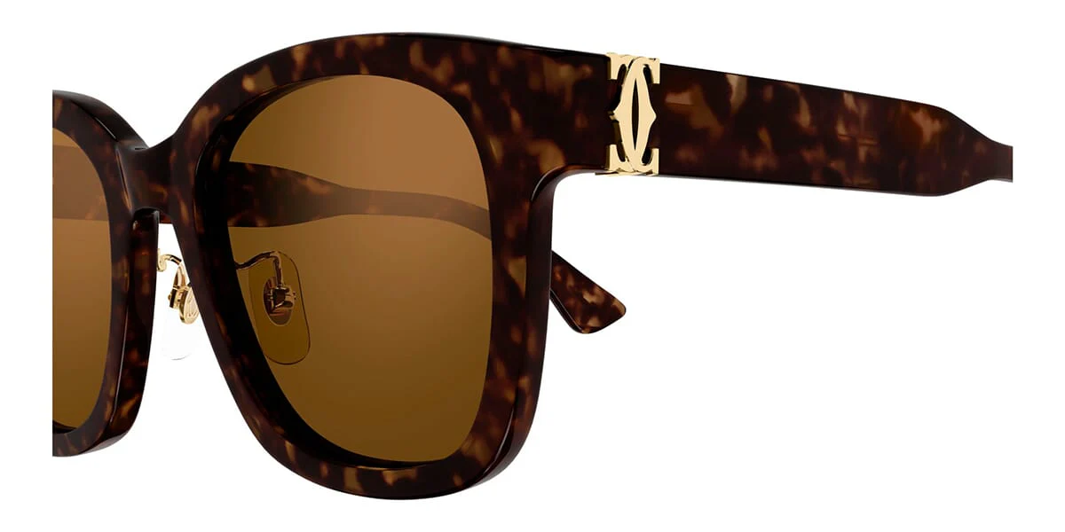 Cartier CT0589SA - Image 7