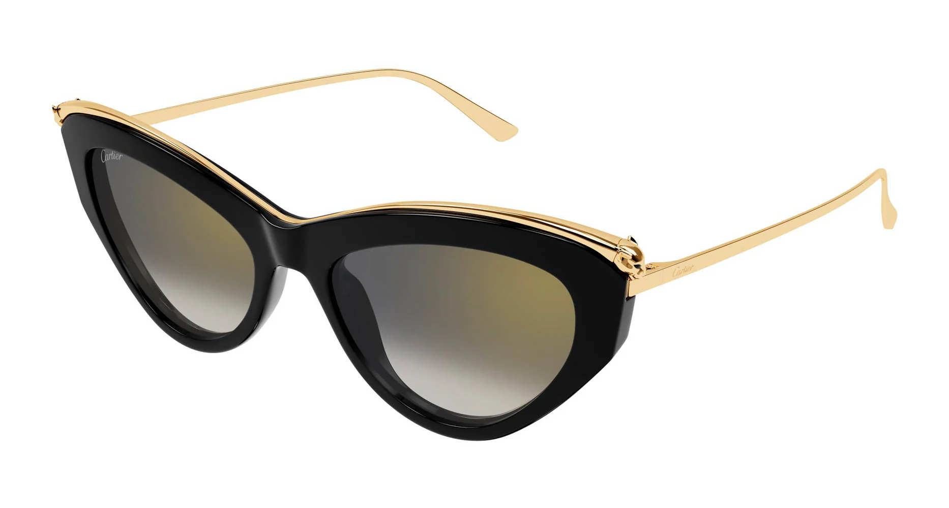 Cartier CT0596S