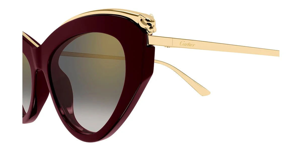 Cartier CT0596S - Image 10