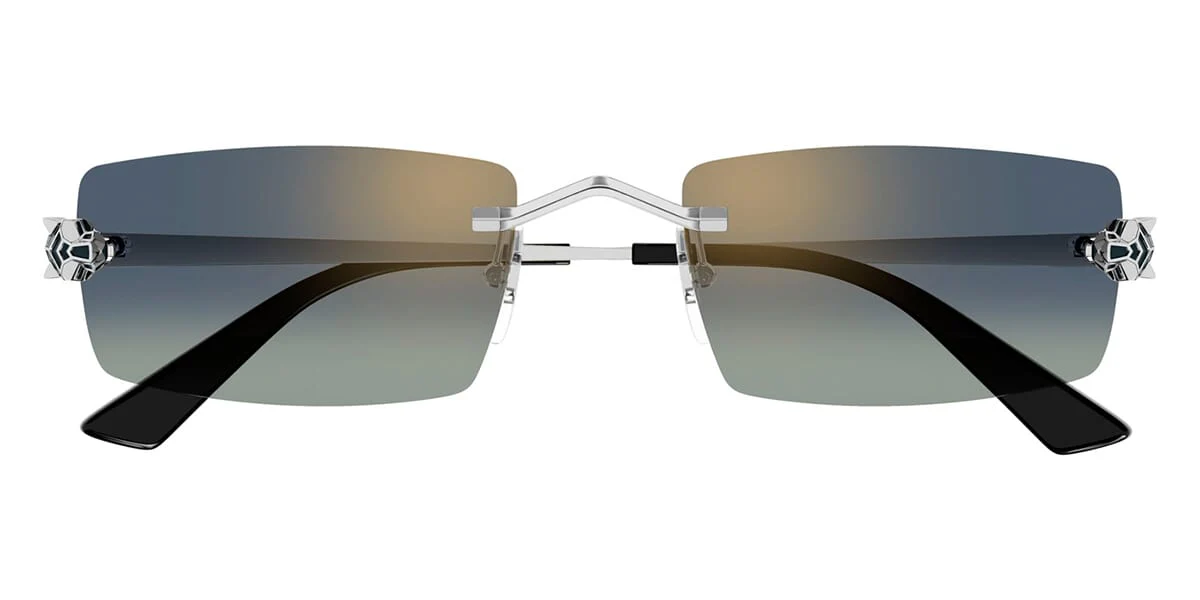 Cartier CT0598S - Image 11