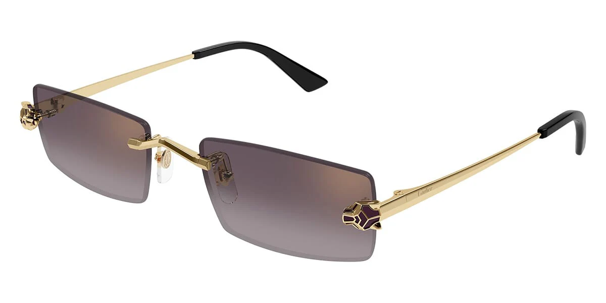 Cartier CT0598S - Image 13