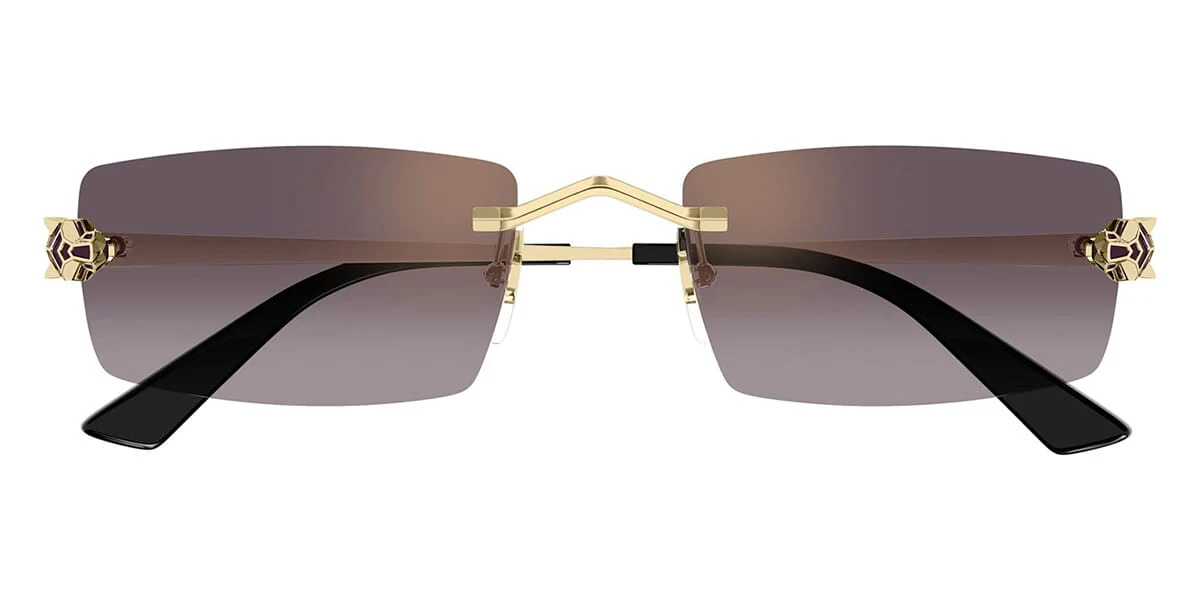 Cartier CT0598S - Image 14