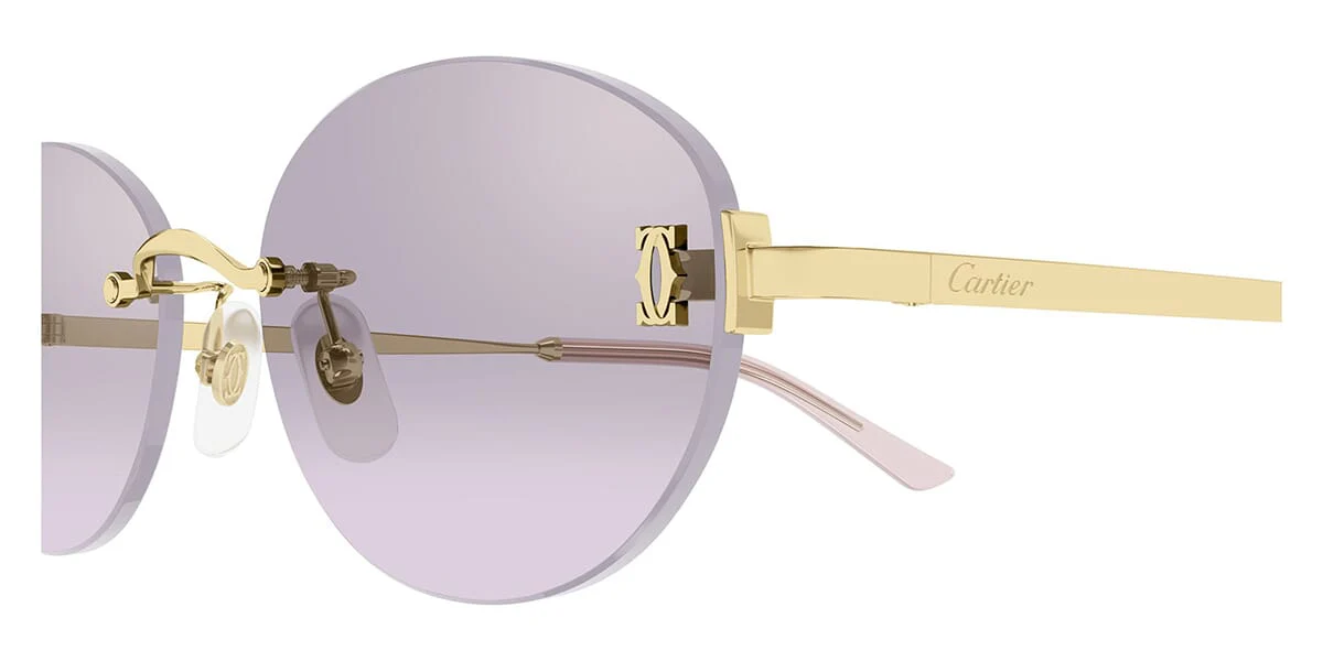 Cartier CT0642SA - Image 10
