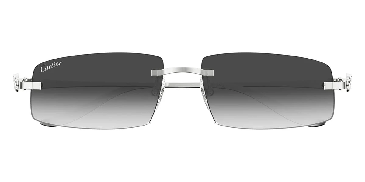 Cartier Panthere CT0505S - Image 4
