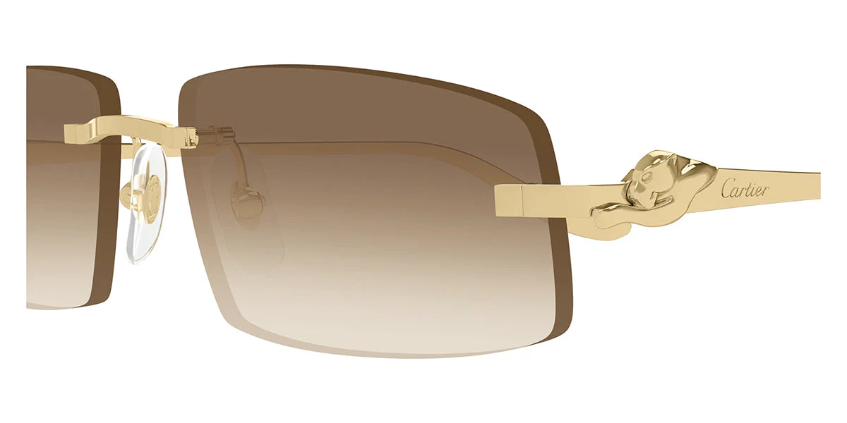 Cartier Panthere CT0505S - Image 9