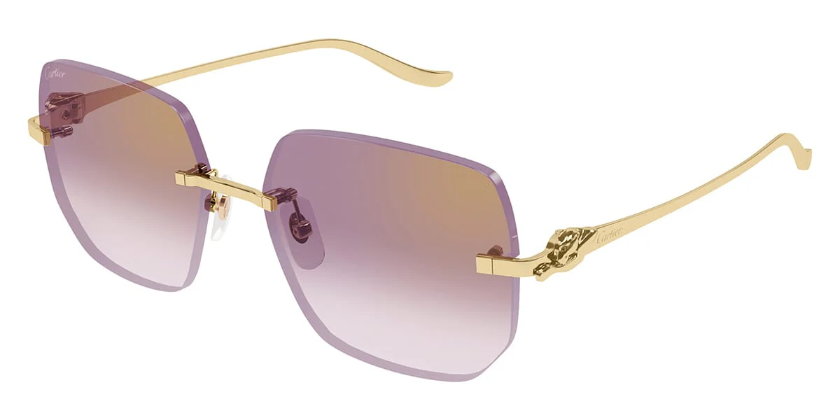 Cartier Panthere CT0549S - Image 7