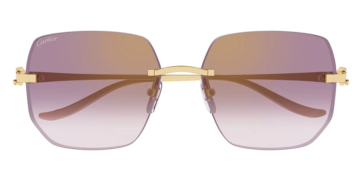Cartier Panthere CT0549S - Image 8