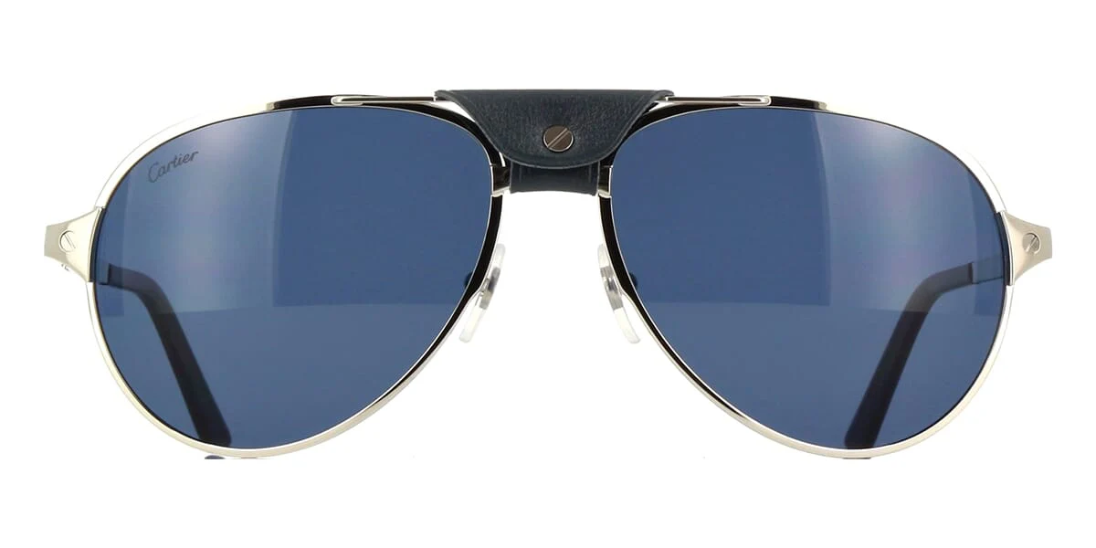 Cartier Santos de Cartier CT0034S - Image 7