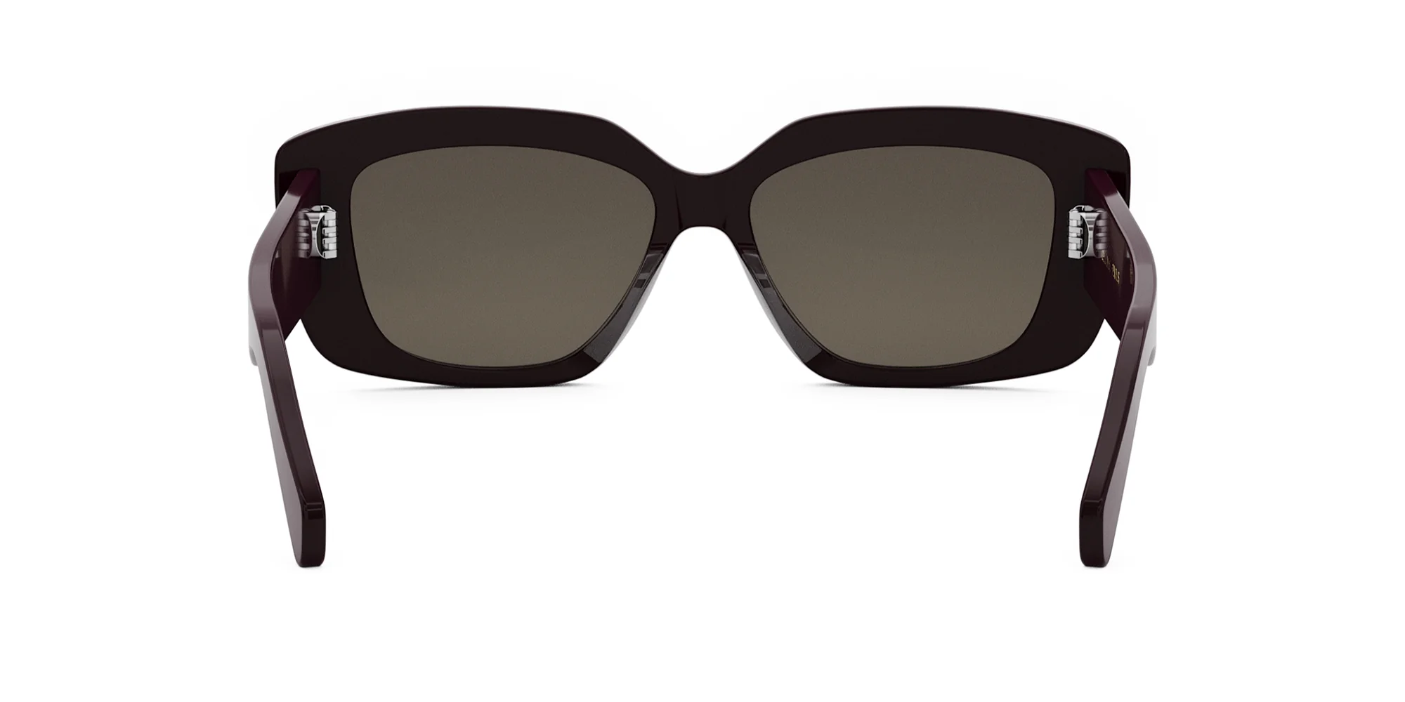 CELINE Triomphe CL40216U - Image 25