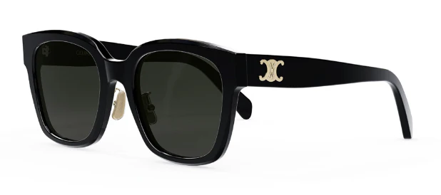 CELINE Triomphe CL40222F