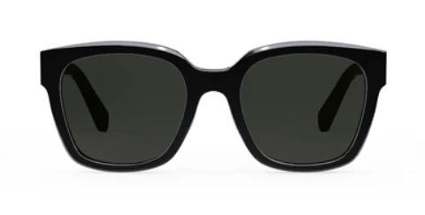 CELINE Triomphe CL40222F - Image 2