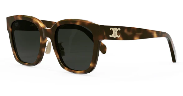 CELINE Triomphe CL40222F - Image 5