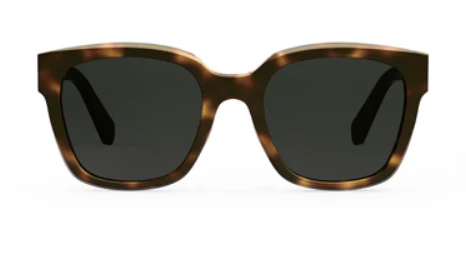 CELINE Triomphe CL40222F - Image 6