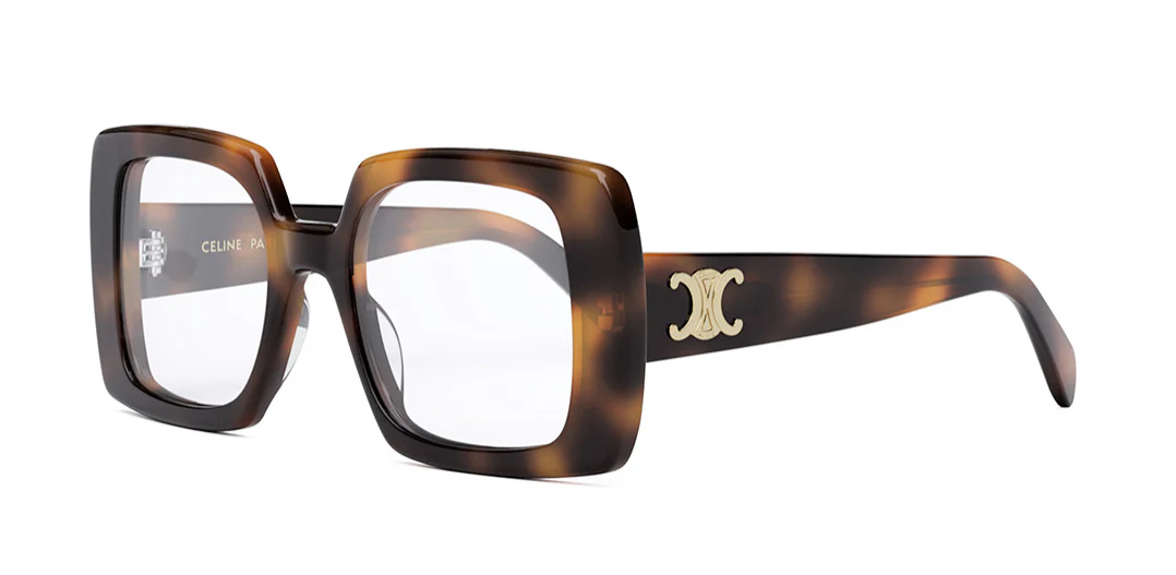 CELINE Triomphe CL50121I - Image 6