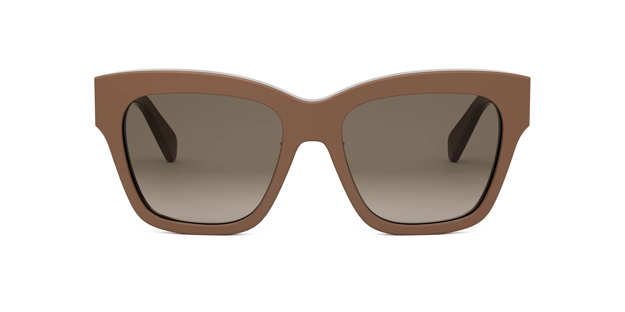 CELINE Triomphe CL40253F - Image 5