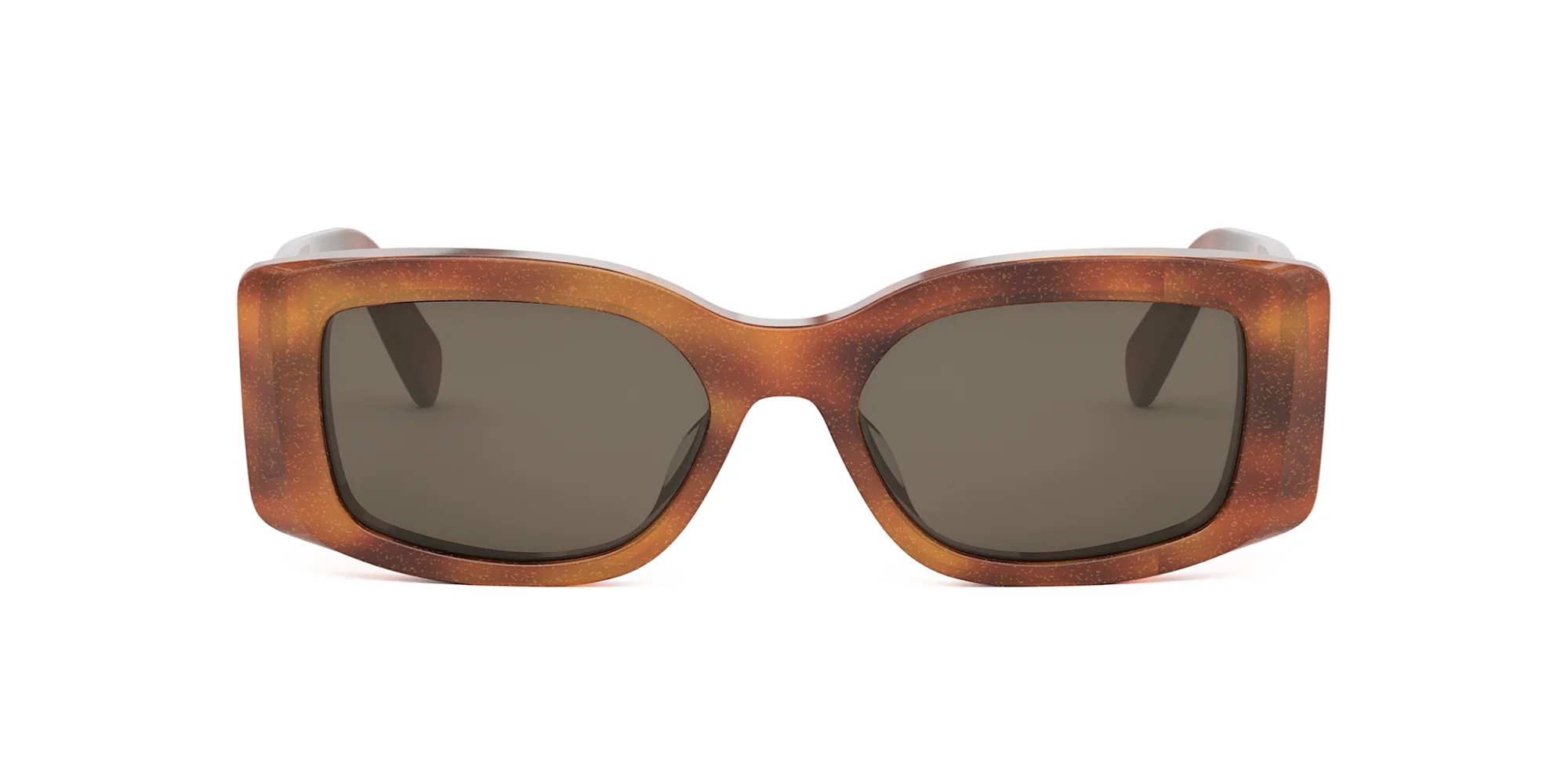 CELINE Triomphe CL40282U - Image 14
