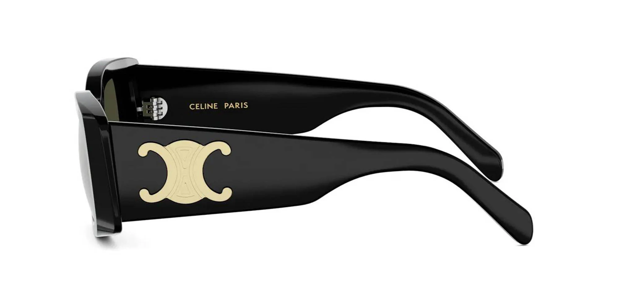 CELINE Triomphe CL40282U - Image 18