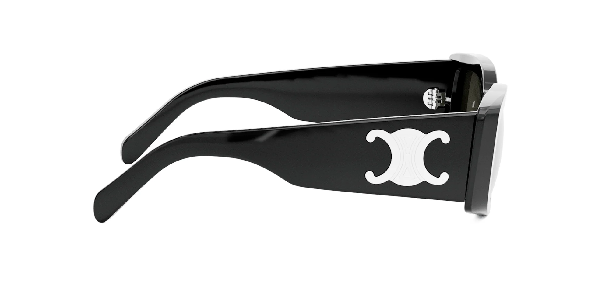 CELINE Triomphe CL40282U - Image 6