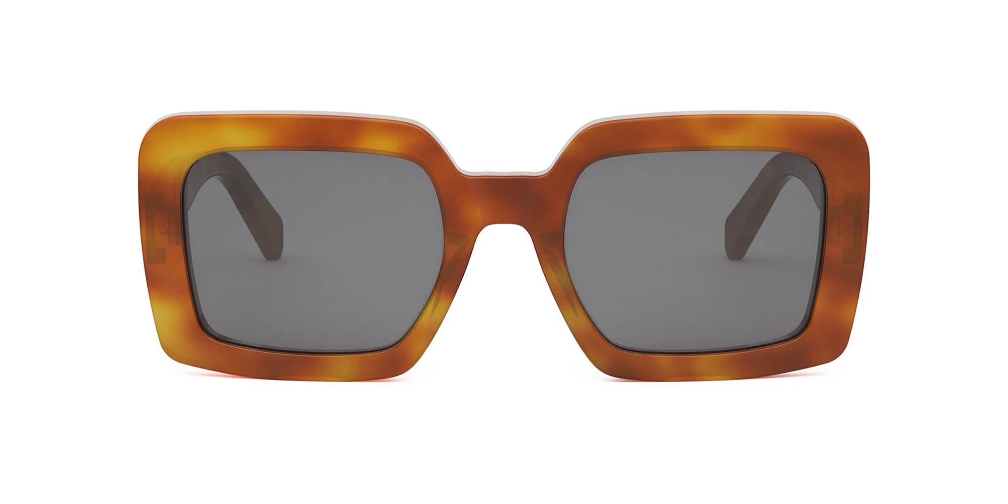 CELINE Triomphe CL40304U - Image 11