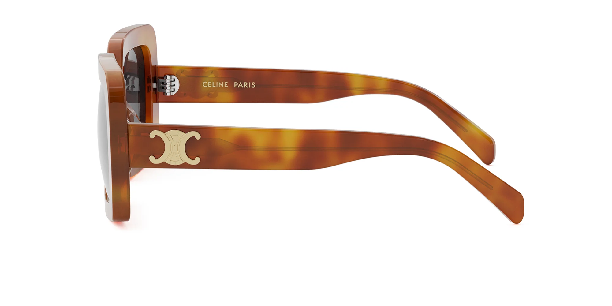 CELINE Triomphe CL40304U - Image 12