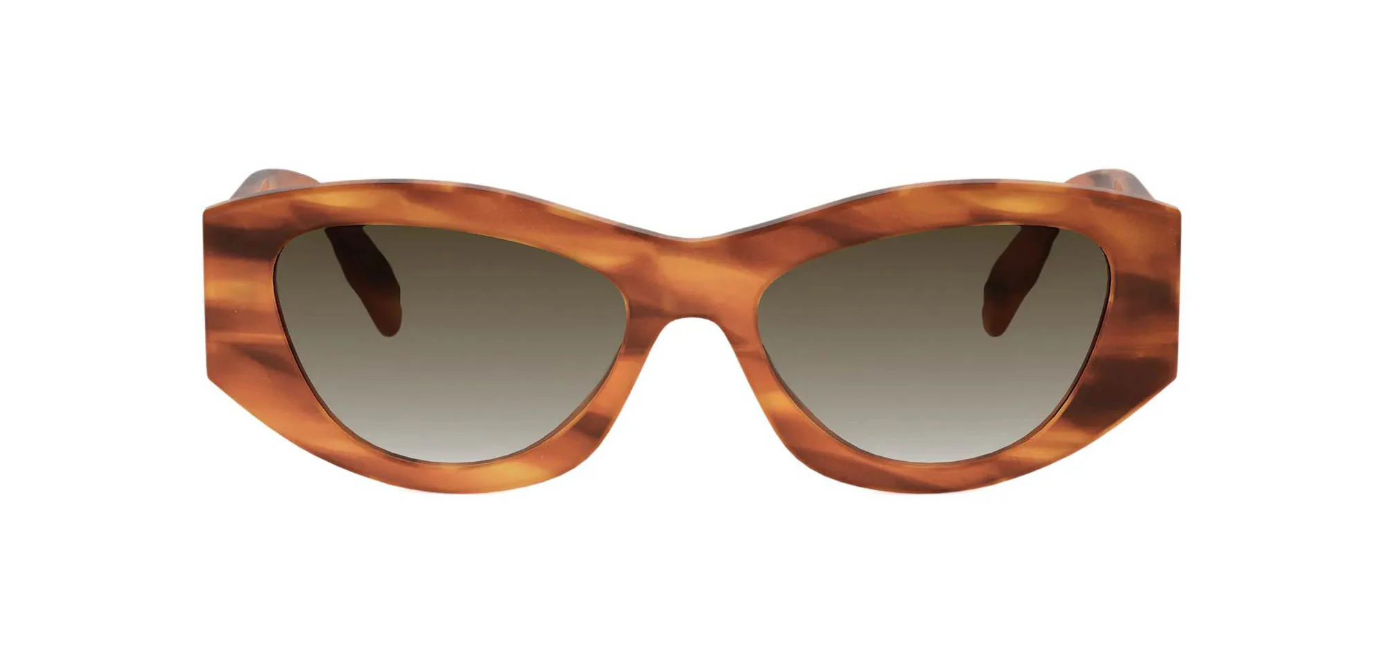 Celine Triomphe CL40308U - Image 23