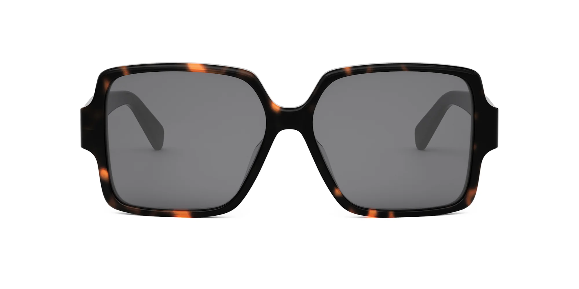 CELINE Triomphe CL40316U - Image 2