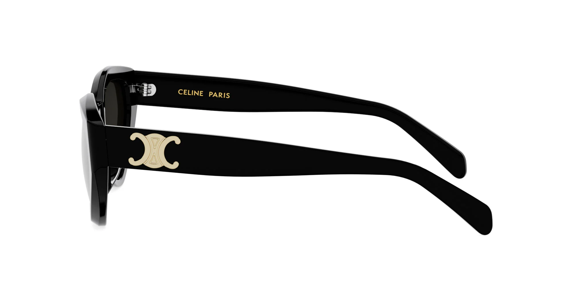 CELINE Triomphe CL40323U - Image 3