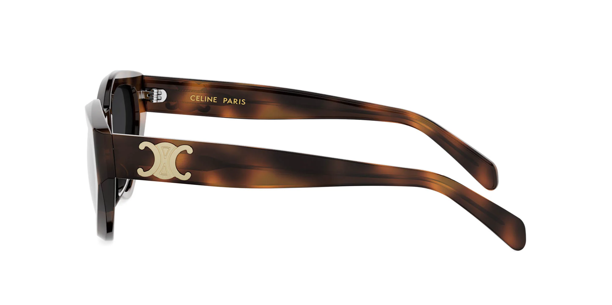 CELINE Triomphe CL40323U - Image 9