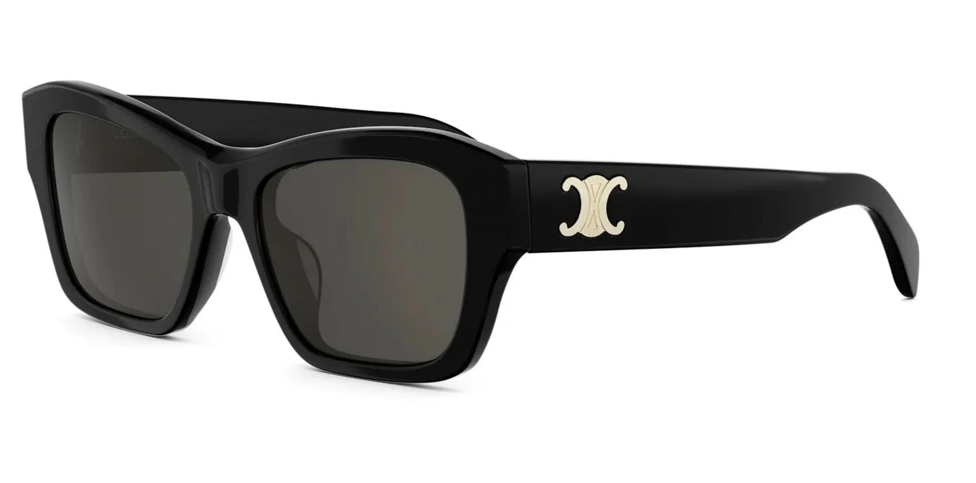 CELINE Triomphe CL40330U