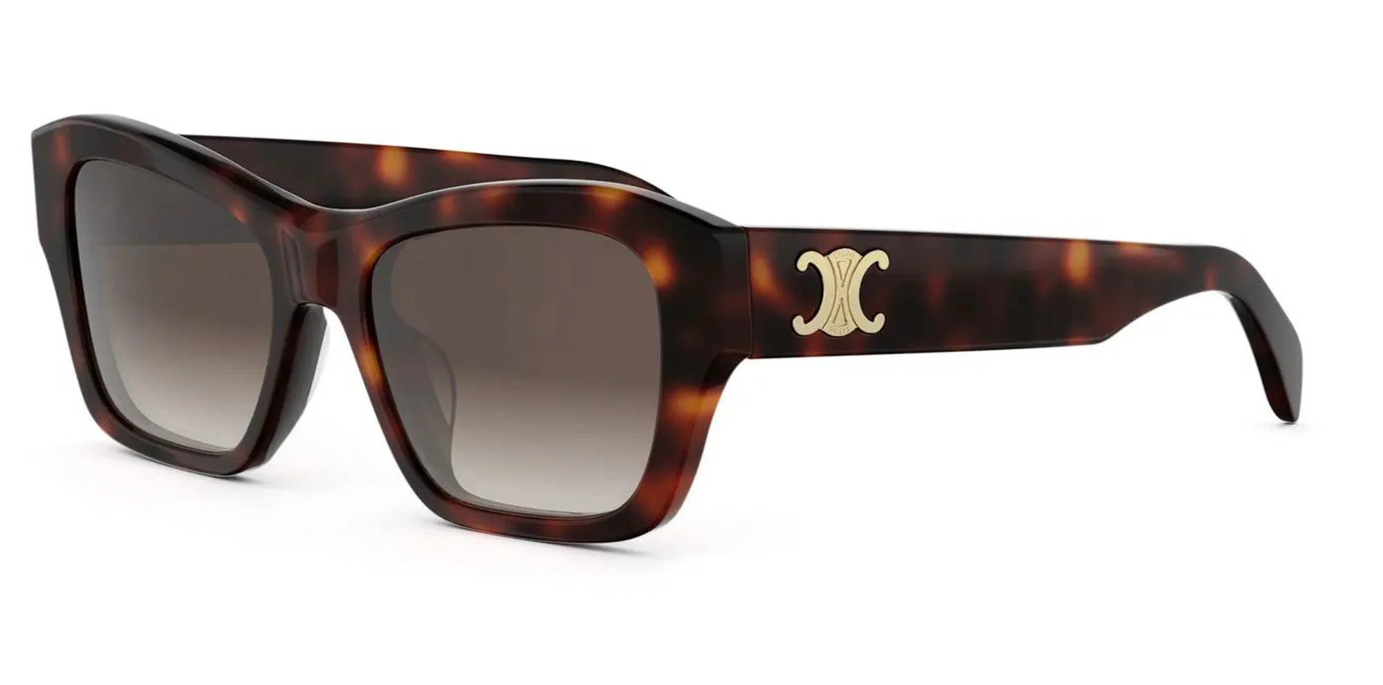 CELINE Triomphe CL40330U - Image 4
