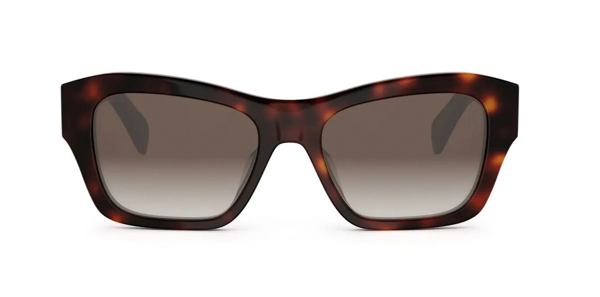 CELINE Triomphe CL40330U - Image 5