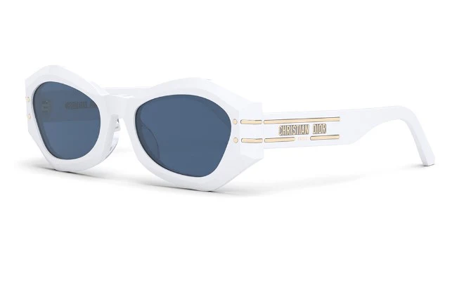 Dior Signature B1U
