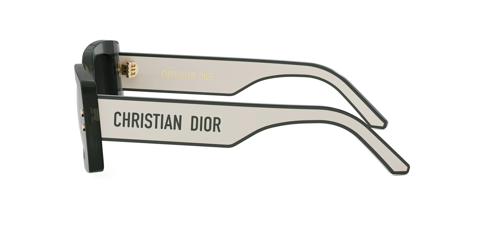 DIORPACIFIC S1U - Image 9