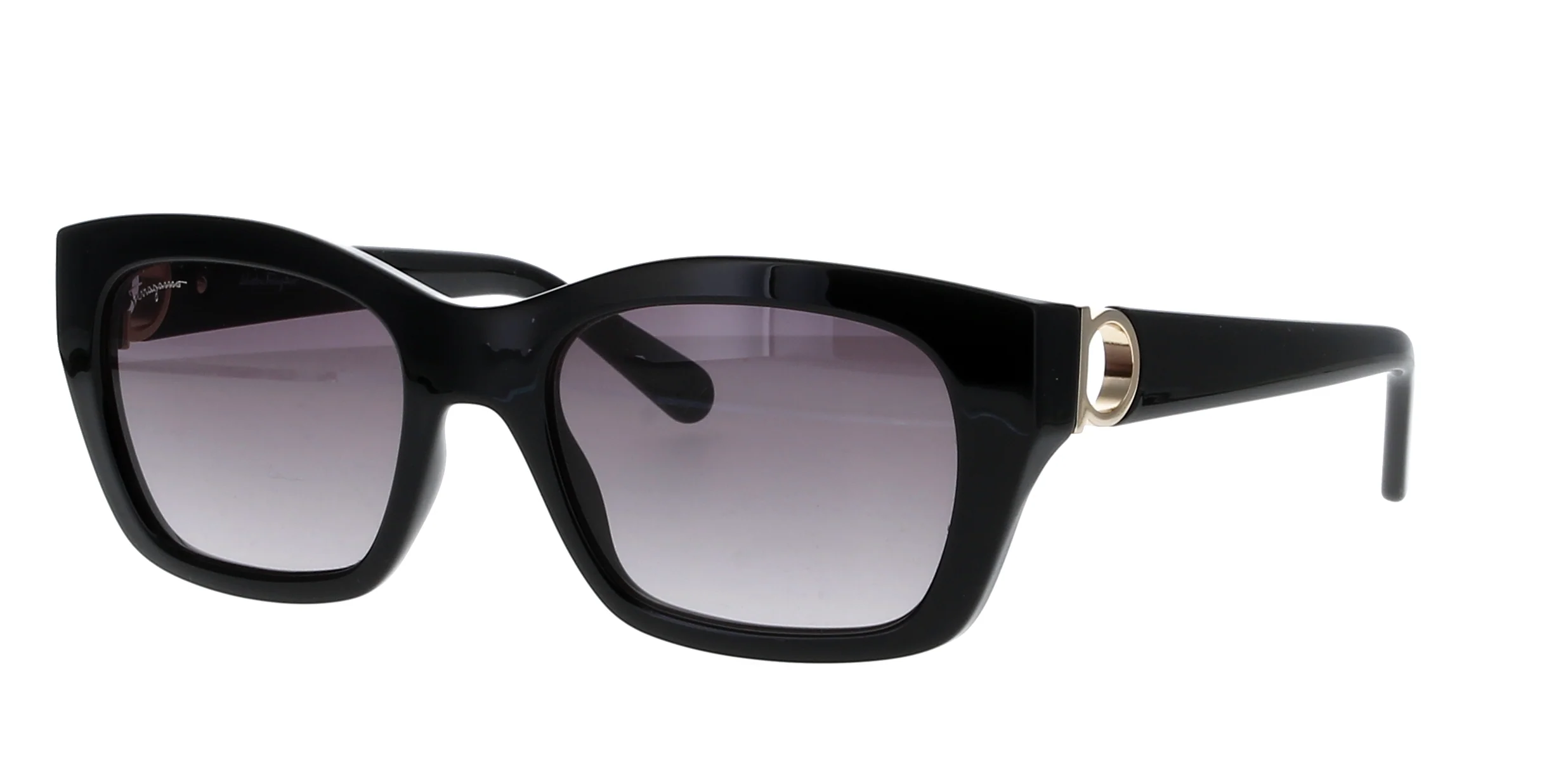 Ferragamo SF1012S