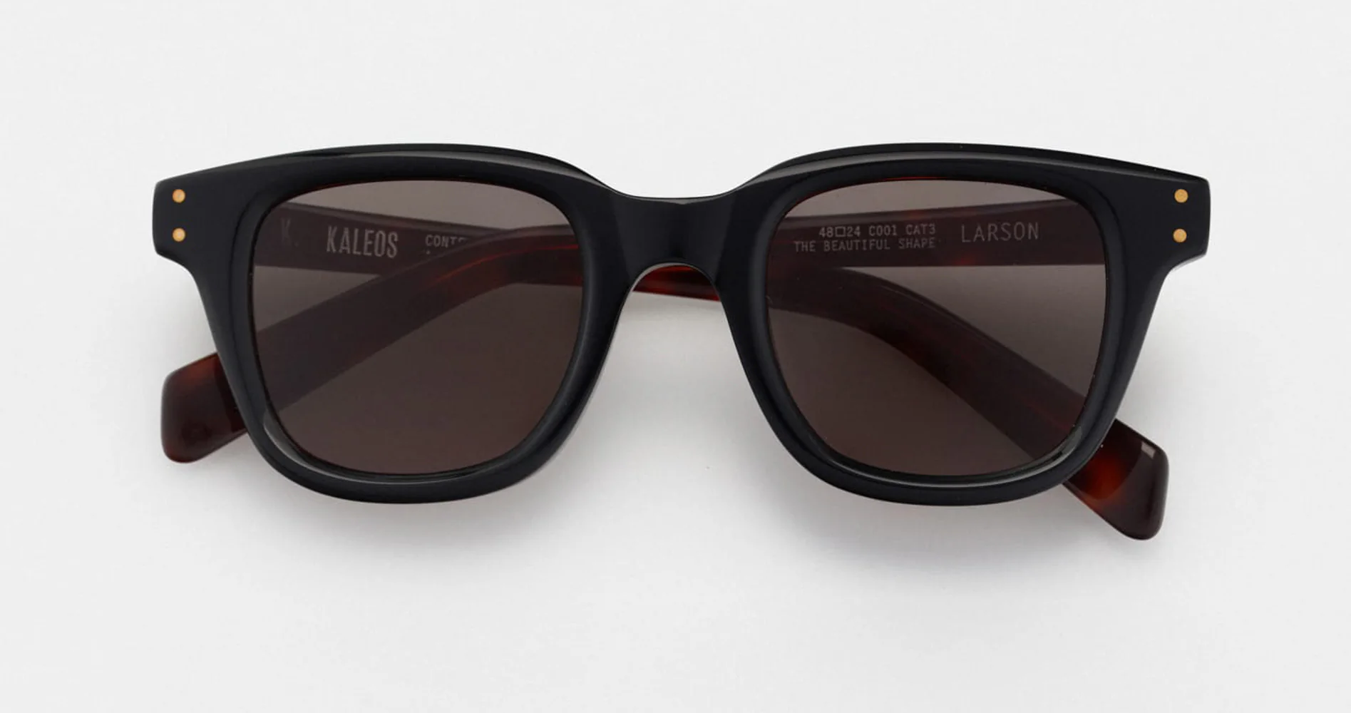 Kaleos Larson - Image 2