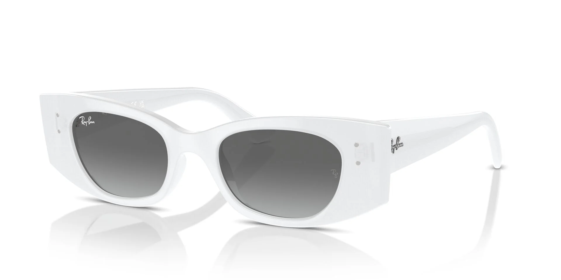 Ray-Ban Kat RB4427 - Image 13