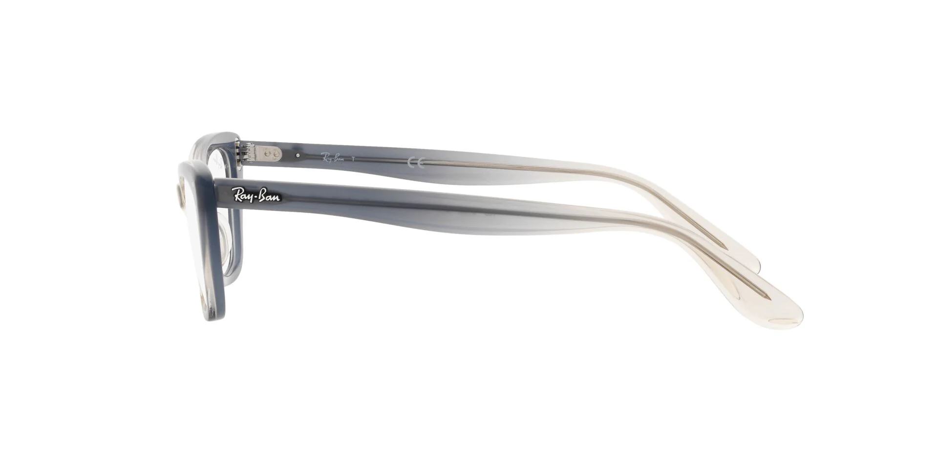 Ray-Ban Lady Burbank RB5499 - Image 15