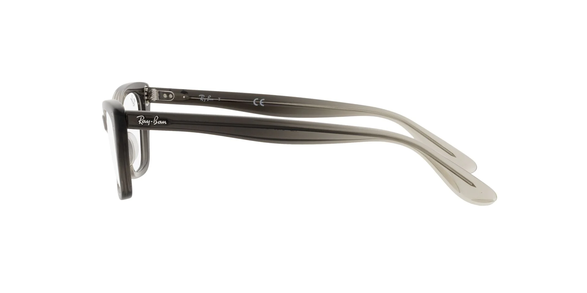 Ray-Ban Lady Burbank RB5499 - Image 21