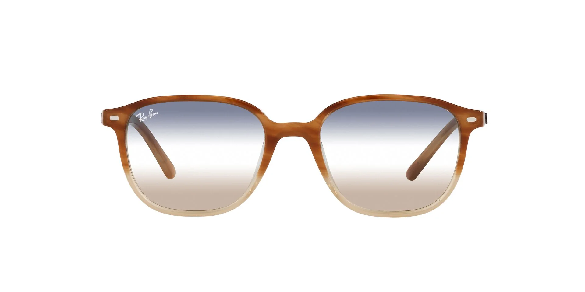 Ray-Ban Leonard RB2193 - Image 29