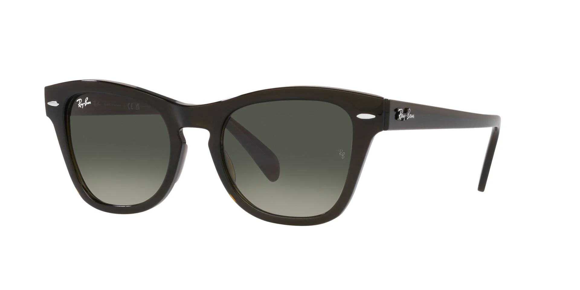 Ray-Ban RB0707S - Image 10