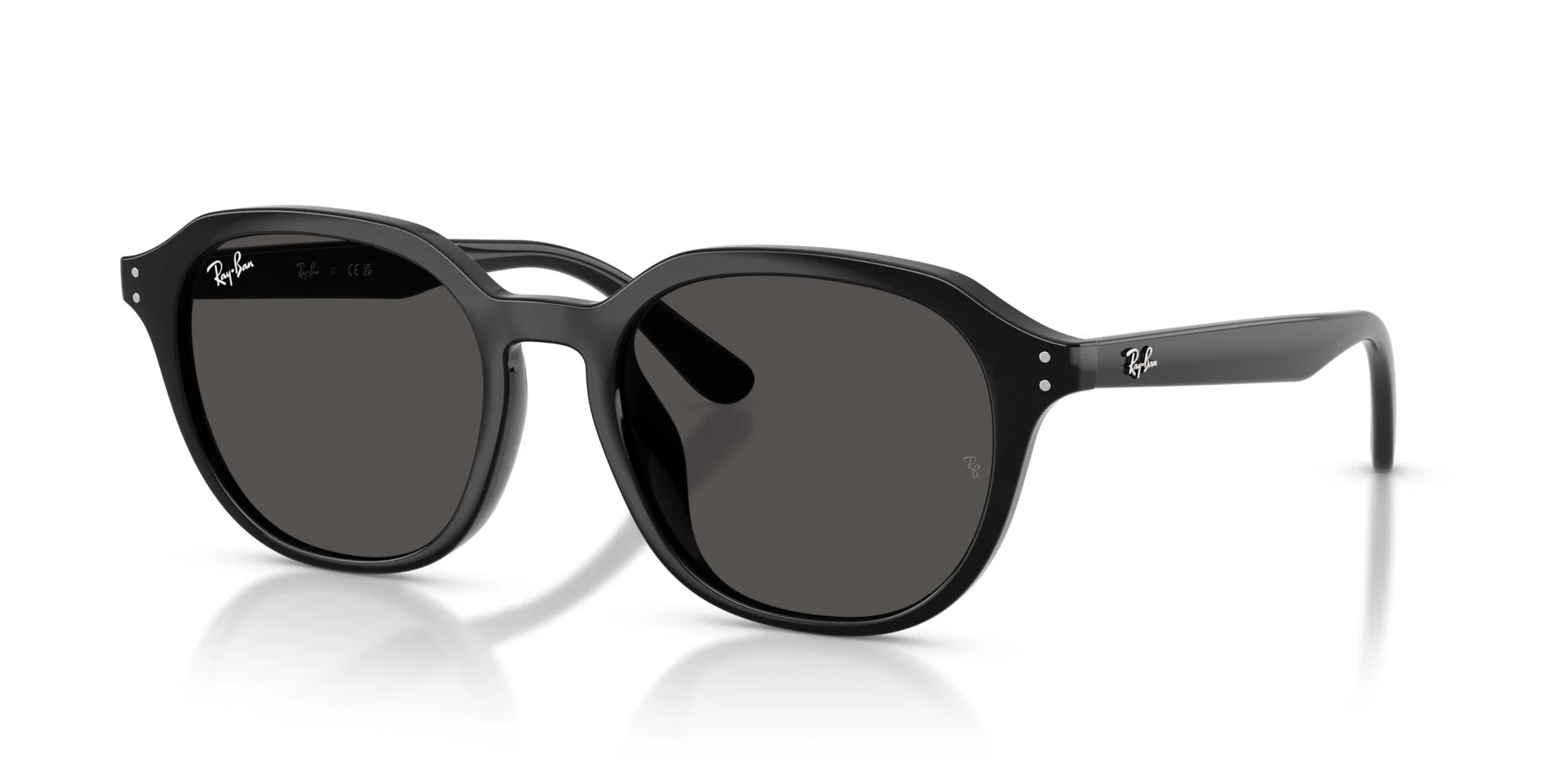 Ray-Ban RB4459D