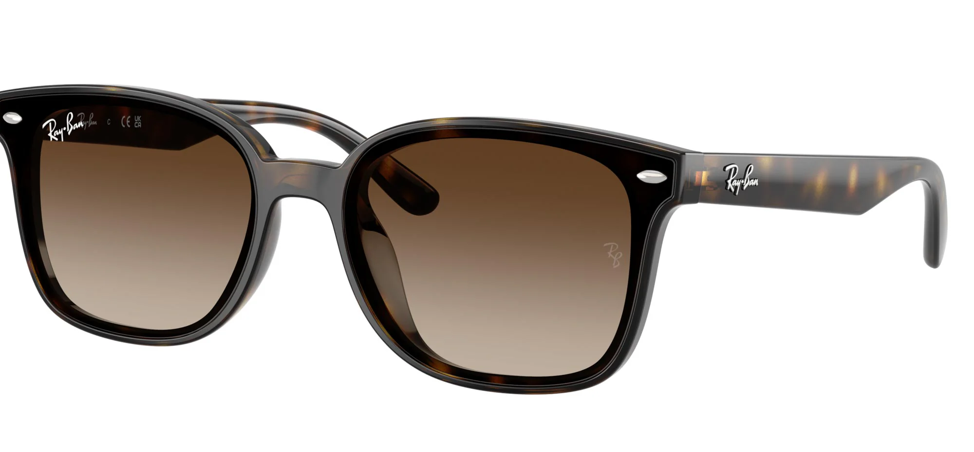 Ray-Ban RB4461D - Image 9