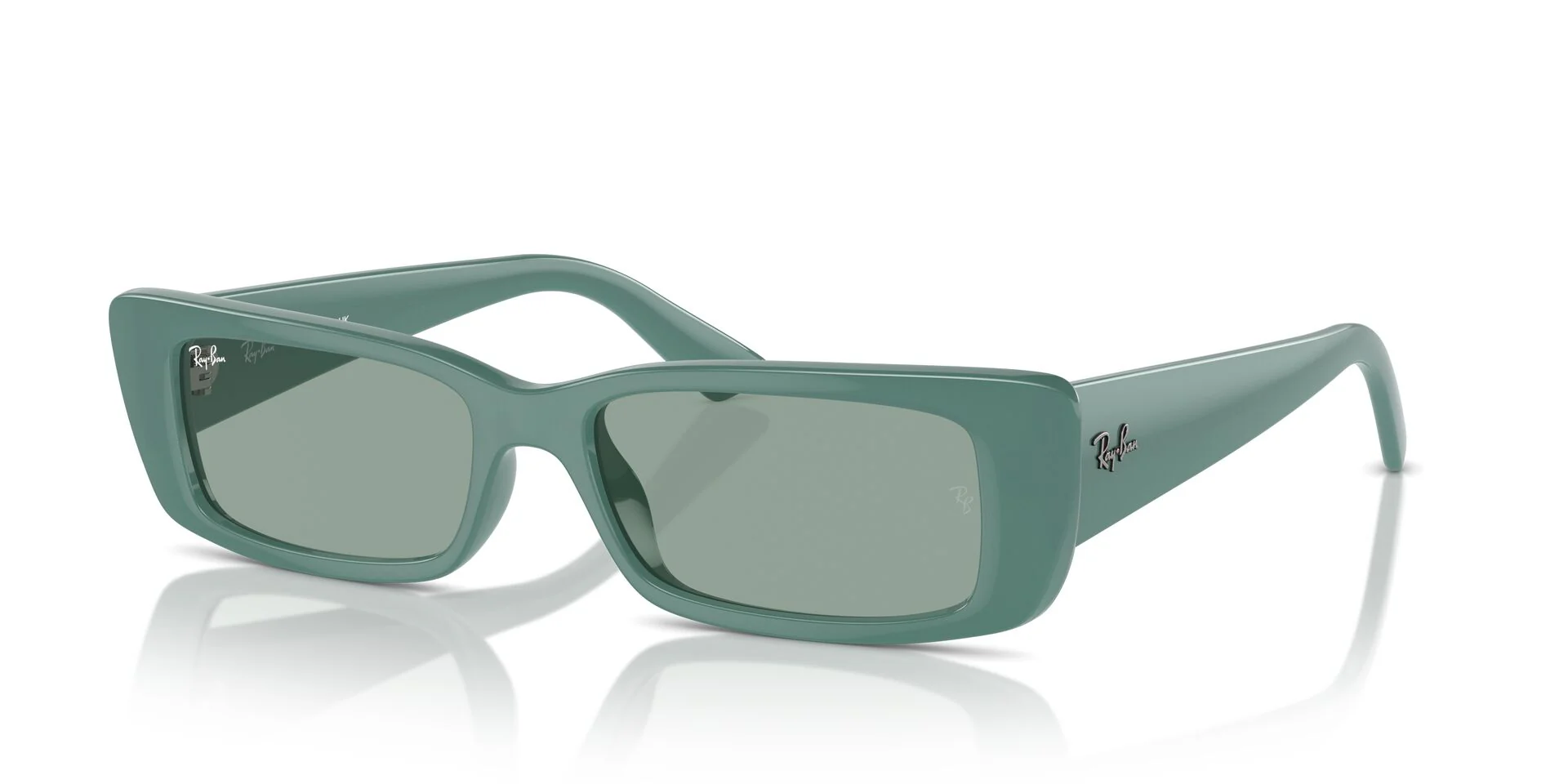 Ray-Ban Teru RB4425 - Image 19