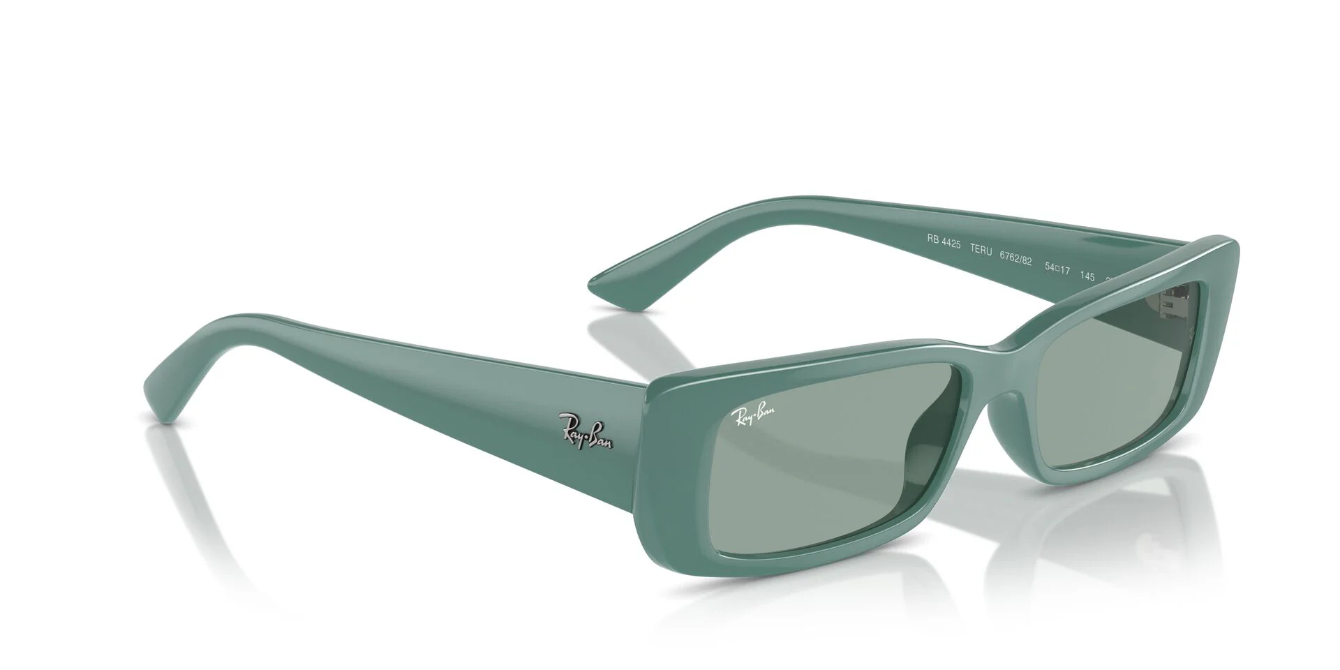 Ray-Ban Teru RB4425 - Image 24