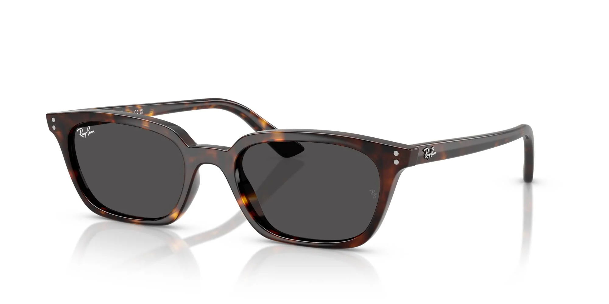 Ray-Ban Zaya RB4456