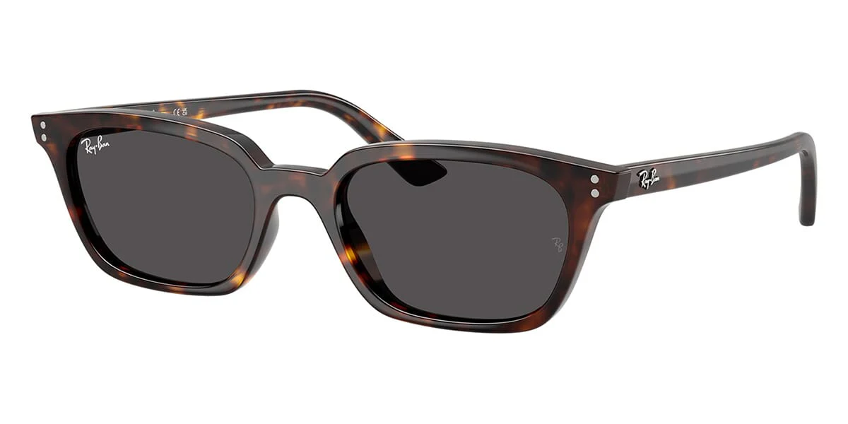 Ray-Ban Zaya RB4456 - Image 19