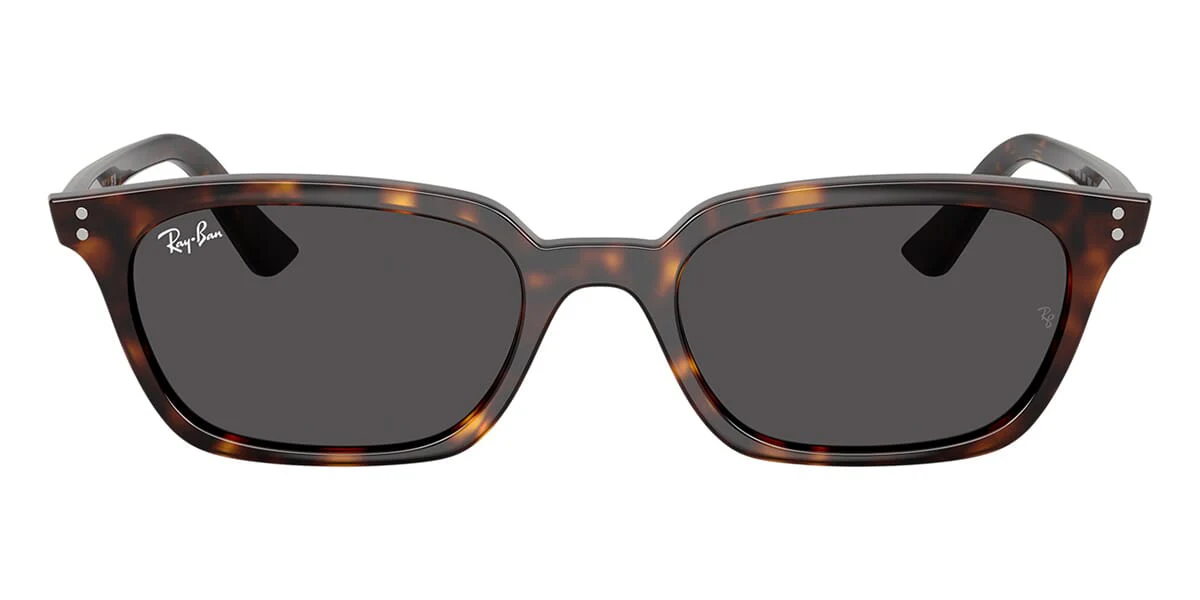 Ray-Ban Zaya RB4456 - Image 20